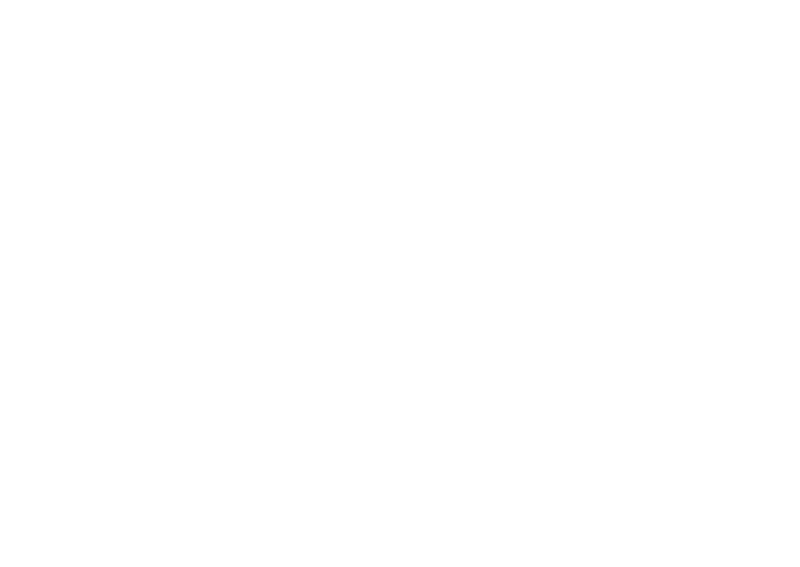 Network